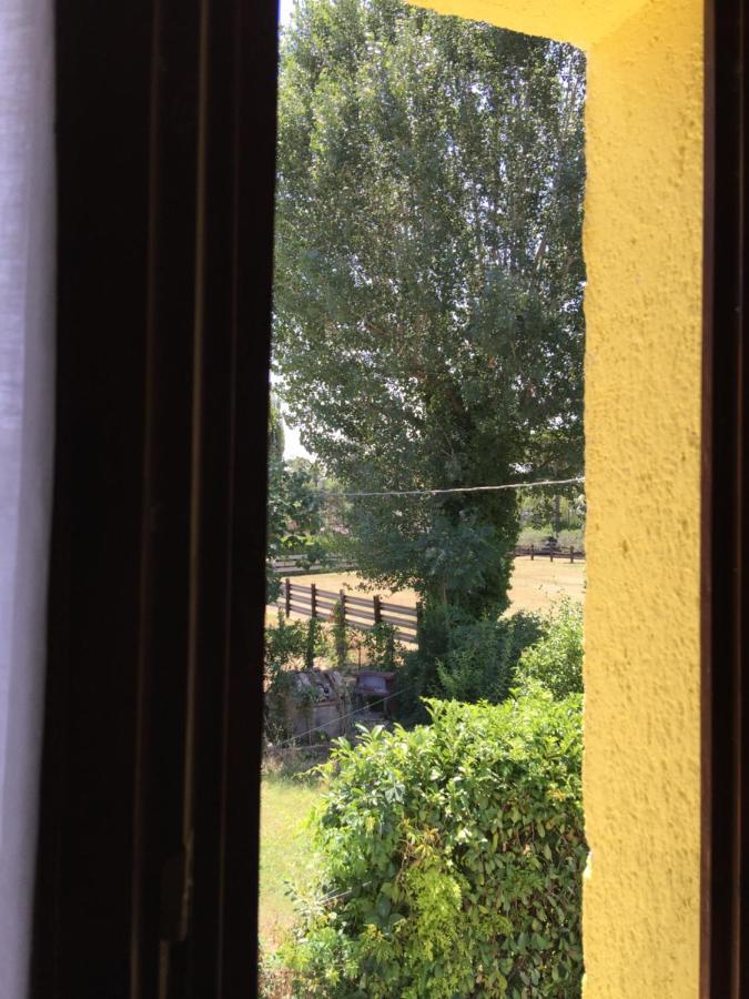 La Chicca B&B Rivotorto Exteriör bild